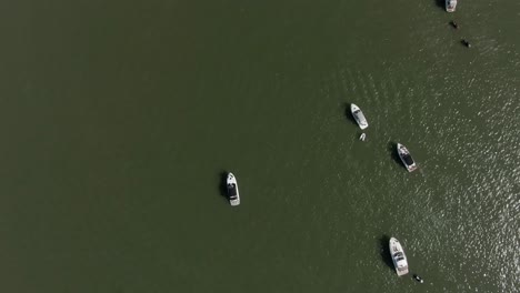 Small-Yachts-in-the-Water,-Aerial-Vertical-Top-Down-Shot,-Right-Track