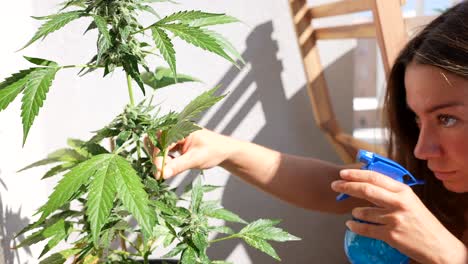 Schönes-Mädchen,-Das-Eine-Cannabispflanze-Im-Freien-Sprüht