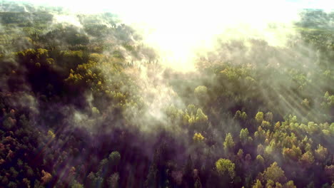 Mystical-landscape-of-forests,-above-which-floats-fog-and-vapors,-through-which-the-golden-rays-of-the-sun-shine