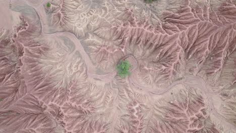 Red-Clay-Formations-And-Vegetation-In-Tatacoa-Desert,-Colombia