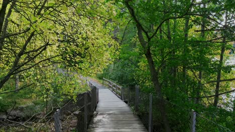 Schöne-Aussicht-Auf-Eine-Holzbrücke-Umgeben-Von-Gelben-Herbstbäumen