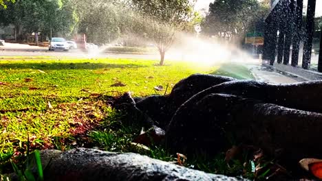 Watering-a-urban-garden-in-a-central-neighborhood-in-Brasilia