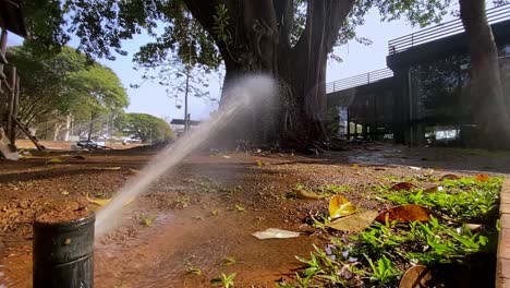 Watering-a-urban-garden-in-Brazil-on-the-summer-season