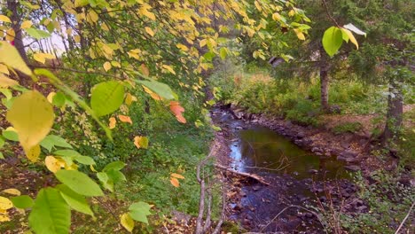 Schöne-Gelbe-Bäume-Und-Ein-Kleiner-Fluss-Im-Herbst-In-Norwegen