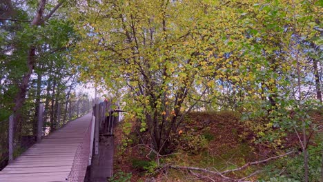 Herrlicher-Blick-Auf-Eine-Brücke-über-Einen-Wunderschönen-Fluss-In-Der-Herbstsaison-In-Norwegen