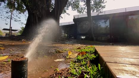 Irrigation-system-for-our-urban-garden---slow-motion-3