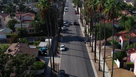 Palm-Tree-Lined-Street-In-Burbank-Neighbourhood-With-Cars-Driving-Past