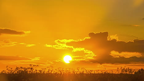 Telephoto-time-lapse-shot-of-bright-round-yellow-sun-setting---vivid-golden-sky-with-clouds-flying-right,-low-angle-view-from-meadow