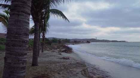Several-palm-trees-have-been-planted-in-the-sand-at-Tumbes,-Peru's-Zorritos-beach,-where-the-tide-is-coming-in-on-a-cloudy-day
