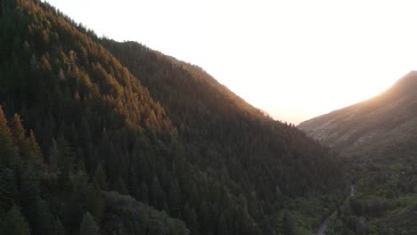Bosques-De-Pinos-En-Las-Montañas-Del-Cañón-Millcreek,-Valle-Del-Lago-Salado-En-Utah