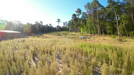 Drone-Flying-Low-Over-The-Grassy-Field-To-The-Forest-On-A-Sunny-Day