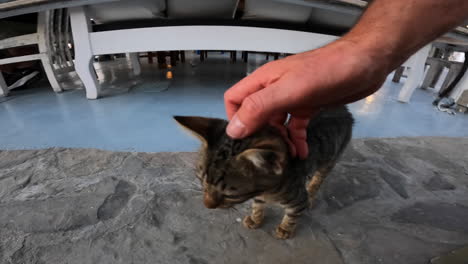 Ein-Tourist-Spielt-Mit-Einer-Wilden-Süßen-Katze-In-Einem-Griechischen-Restaurant,-Dieser-Interessiert-Sich-Für-Die-Kamera
