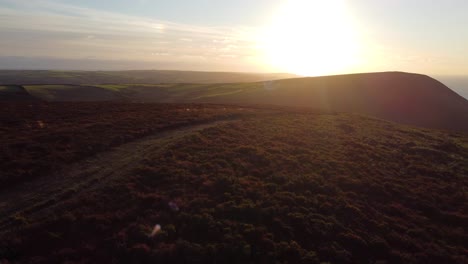 Wunderschöne-Sonnenuntergangs-drohnenaufnahmen-Mit-Lila-Heidekraut-Auf-Moor-Mit-Rollenden-Grünen-Feldern-Im-Hintergrund-In-North-Devon-Uk-4k