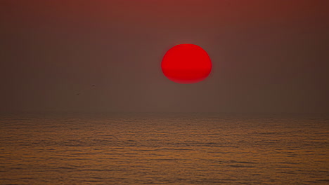Timelapse-shot-of-the-colorful-sun-setting-along-the-horizon-on-the-background-over-the-ocean