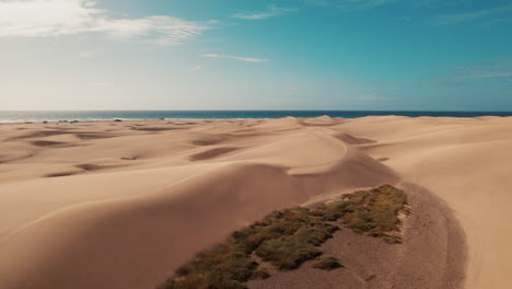 Aerial-over-scenic-Maspalomas-coastal-dunes-of-Gran-Canaria,-Las-Palmas