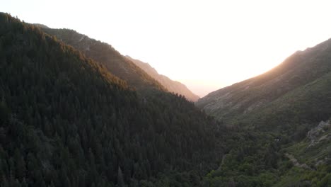 Luftbild-Von-Dichten-Waldkämmen-Im-Millcreek-Canyon-Während-Des-Sonnenuntergangs-In-Salt-Lake-City,-Utah