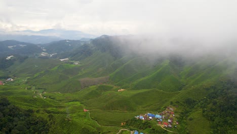 Hoher-Kreisender-Schuss-über-Einer-Teeplantage,-Die-Durch-Den-Nebel-In-Der-Landschaft-Von-Brinchang-Geht