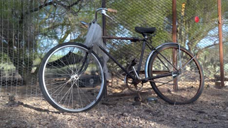 Static-shot-of-old-bike-placed-near-a-hen-pen-in-a-hot-day-in-the-Sonora-Desert