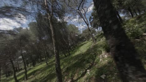 FPV-drone-follows-young-man-running-through-open-forest