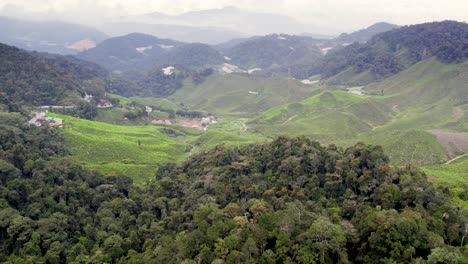 Forest-surrounding-tea-plantations-in-Malaysia's-Cameron-highlands,-slow-drone-orbit