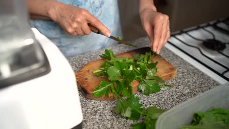 Fresh-Green-Parsley-Leaves-Cut-For-Making-Healthy-Green-Juice