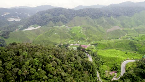 Teeplantagen-In-Der-Malaysischen-Region-Pahang.-Luftbahn