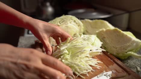Slicing-Fresh-Cabbage-Leaves