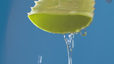 Pure-water-drops-and-streams-to-green-aloe-vera-on-blue-background