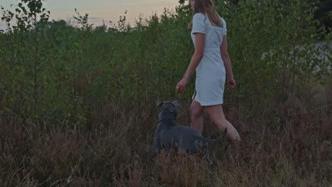 Atractiva-Mujer-Joven-Caminando-En-El-Campo-De-Brezo-Con-El-Perro-American-Stafford-Terrier-Siguiéndola