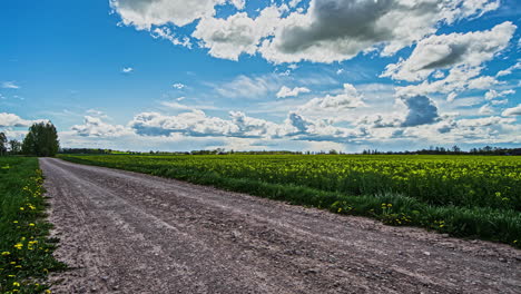 A-dirt-road-along-rapeseed-growing-in-a-farmland-field---zoom-out-sliding-time-lapse-cloudscape