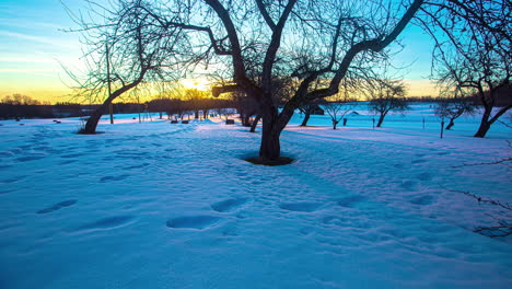 Time-Lapse,-Sunrise-through-leafless-trees-on-Snowfield,-Trees-Shadows-moving-along-snow-surface,-Winter