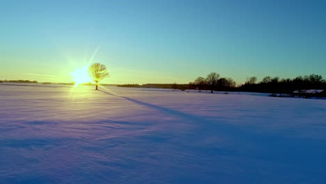 Drone-flyover-Snow-covered-field-with-leafless-trees-towards-sun,-Scenic-sunset-lights-in-Horizon