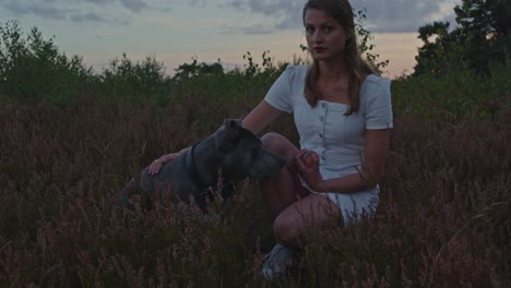 American-Staffordshire-terrier-sitting-next-to-attractive-woman-kneeling-down-in-heather-field