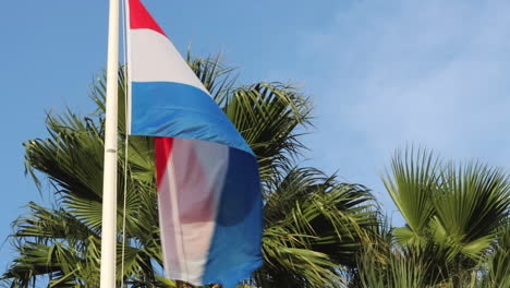 Flag-of-Netherlands-blowing-in-wind-on-clear-day,-palm-trees-in-background