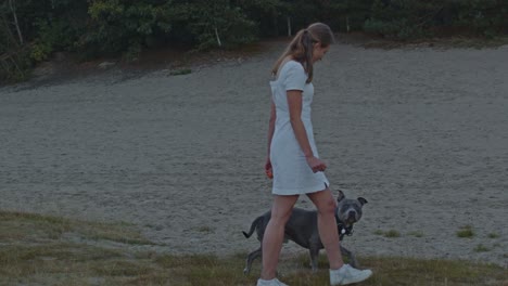 Mujer-Joven-Caminando-Con-Un-Staffordshire-Terrier-Americano-Con-Dunas-De-Arena-Y-Bosque-En-El-Fondo
