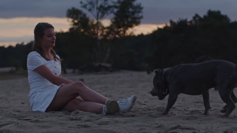 American-Staffordshire-Terrier-bringing-ball-to-attractive-woman-sitting-in-sand-dunes