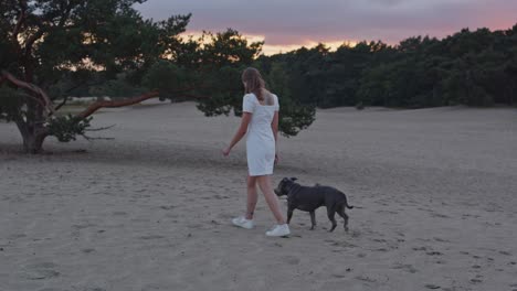 Mittlere-Ansicht-Einer-Jungen-Frau-Mit-Einem-Amerikanischen-Staffordshire-Terrier,-Die-In-Der-Abenddämmerung-Von-Der-Kamera-An-Einem-Baum-In-Wunderschönen-Sanddünen-Vorbeigeht