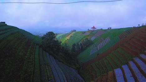 Aerial-flyover-terraced-vegetable-plantation-with-scallion-and-cabbage-in-Indonesia-during-cloudy-day