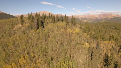 Aerial-view-flying-over-a-remote-aspen-ridge-to-reveal-a-distant-road-and-Mount-Silverheels