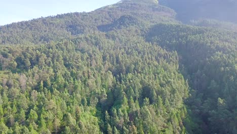 Bosque-Tropical-En-Las-Laderas-De-La-Montaña-Sumbing,-Indonesia