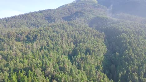Aerial-flyover-dense-forest-growing-on-mountain-during-sunny-day-in-Indonesia