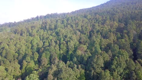 Aerial-footage-slope-of-mountain-with-overgrown-with-dense-of-rain-forest-trees