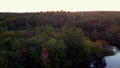 A-long-pan-up-drone-shot-from-a-small-river-to-reveal-forest-and-homes-in-the-distance