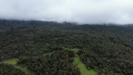 Polipoli-State-Park-Im-Kula-Wald-Von-Maui
