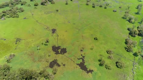 Drone-Captura-La-Selva-Tropical-Verde-De-Las-Amazonas-Y-El-Río-Amazonas-Ubicado-En-Brasil