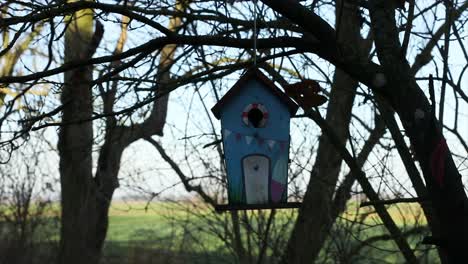 Abstract-funny-colorful-small-bird-house-in-nature-hanging-in-the-trees-with-big-landscape-in-background-covered-with-trees