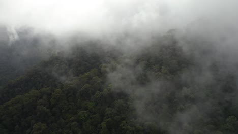 Parallax-drone-shot-of-cloudy-Jungle-in-Costa-Rica-in-rain-season