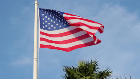 US-Flagge-Weht-Sanft-Im-Wind-Gegen-Den-Blauen-Himmel-Und-Die-Palme