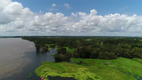 A-drone-shot-of-flooded-Amazonian-rain-forest-in-Negro-river,-Amazonas,-Brazil-with-cloudy-sky-background