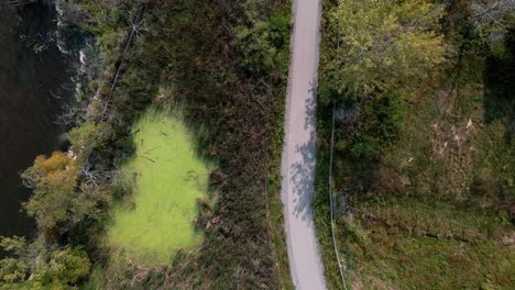 Showing-the-swampy-part-of-the-Muskegon-Bike-Path
